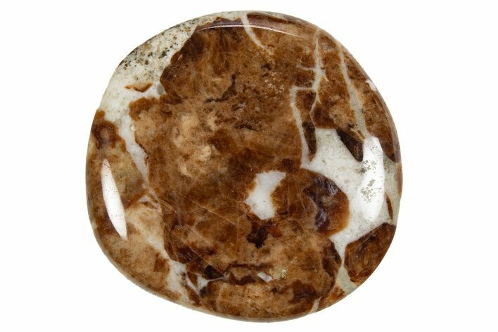 Polished Garnet In Wollastonite Stone - Namibia #343960